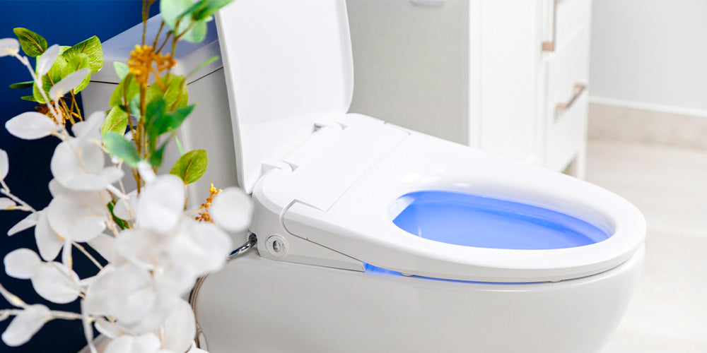 Exploring the Best Entry-Level Bidet Seats