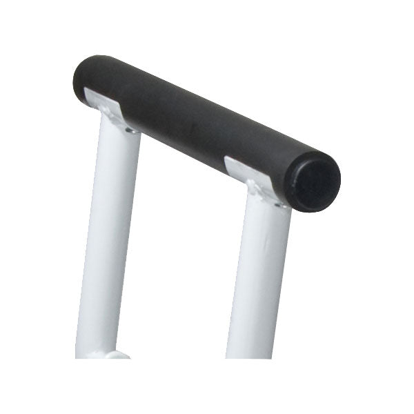Stand Alone Toilet Safety Rail