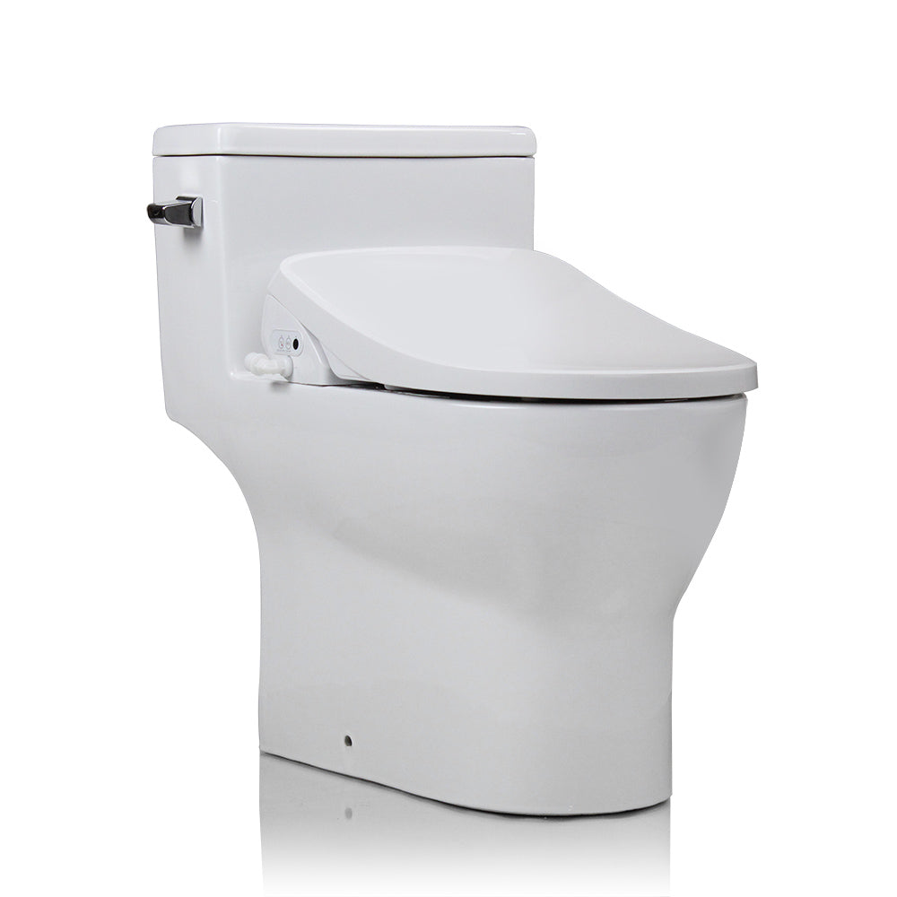 grit debat tragt Custom Bidet Toilet Combination - Modern