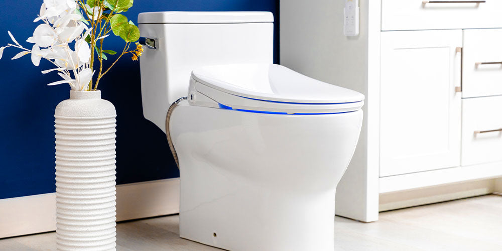 2025: The Year of the Bidet