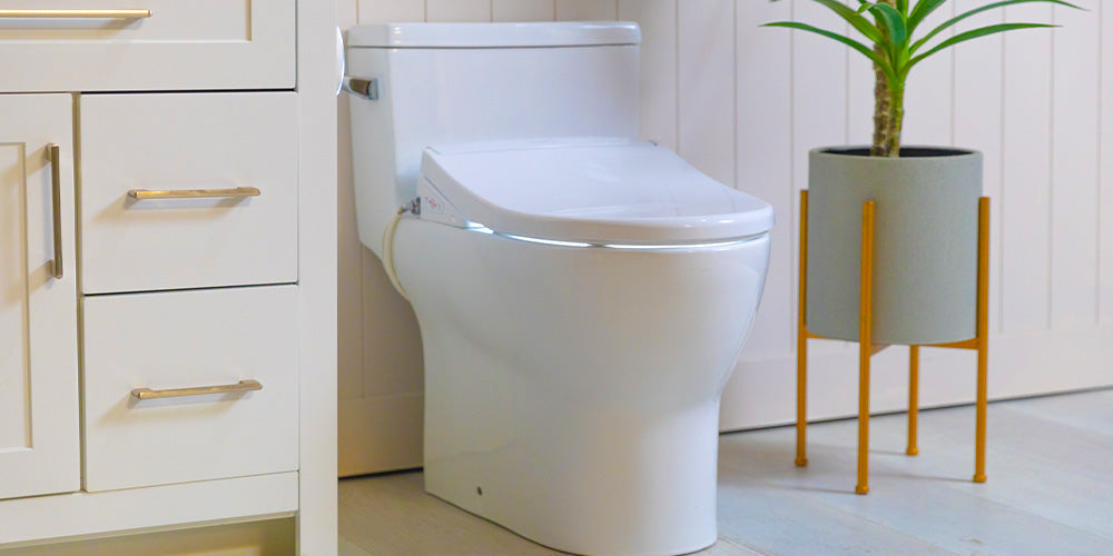 Breaking Down the Reasons for the BidetKing Crown's Popularity