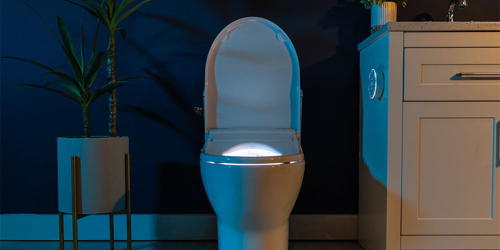 Bidet Seats: A Financial and Health Investment