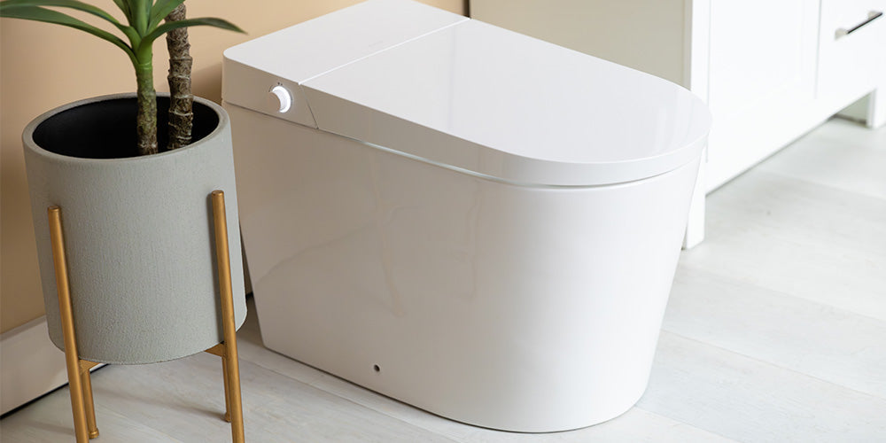 The Year of the Bidet Toilet Combo