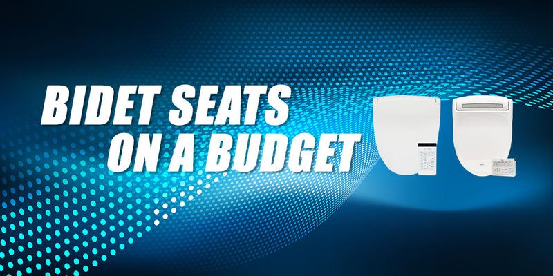 Bidet Seats on a Budget
