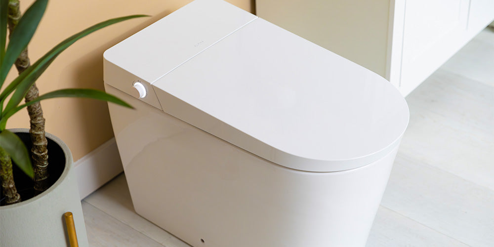 Entry-Level vs. Luxury Bidet Seats: What’s the Difference?