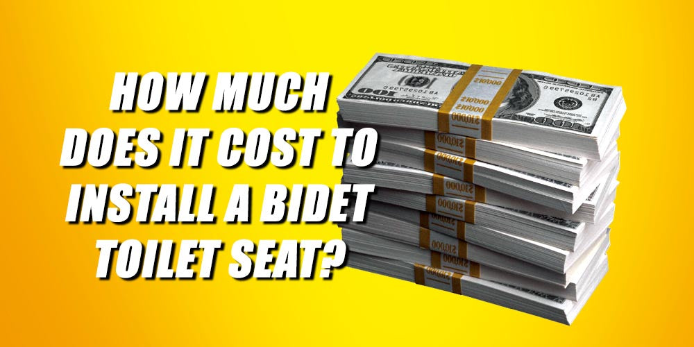 How Much Does it Cost to Install a Bidet Toilet Seat?