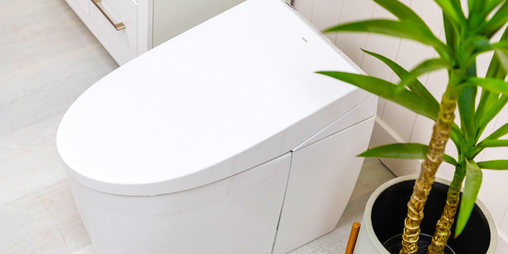 The Rise in Popularity of Bidet Seats in the United States