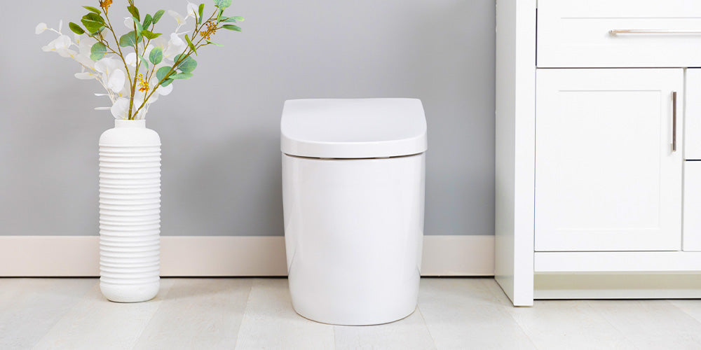 The TOTO Standard: A Look into A Bidet Powerhouse