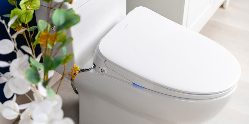 Why the Alpha iX Pure Is a Great Budget Option Bidet Seat