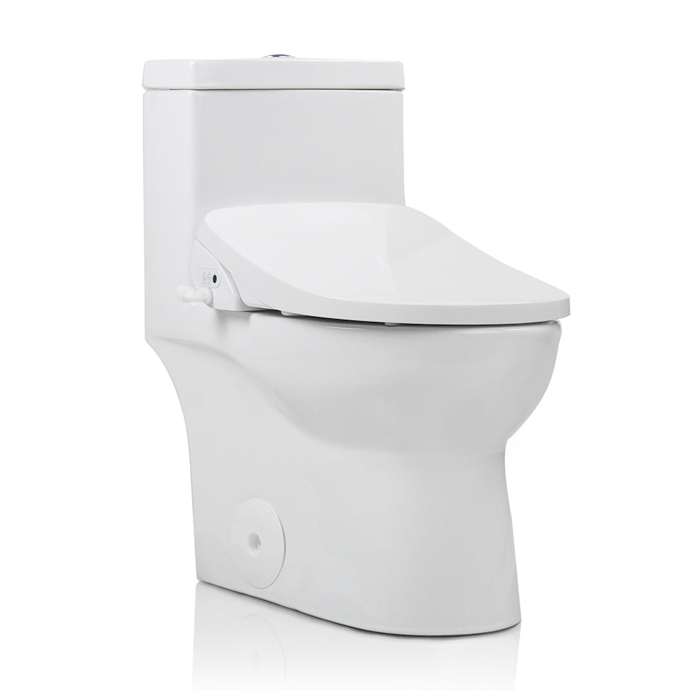 Custom Bidet Toilet Combination - Contemporary